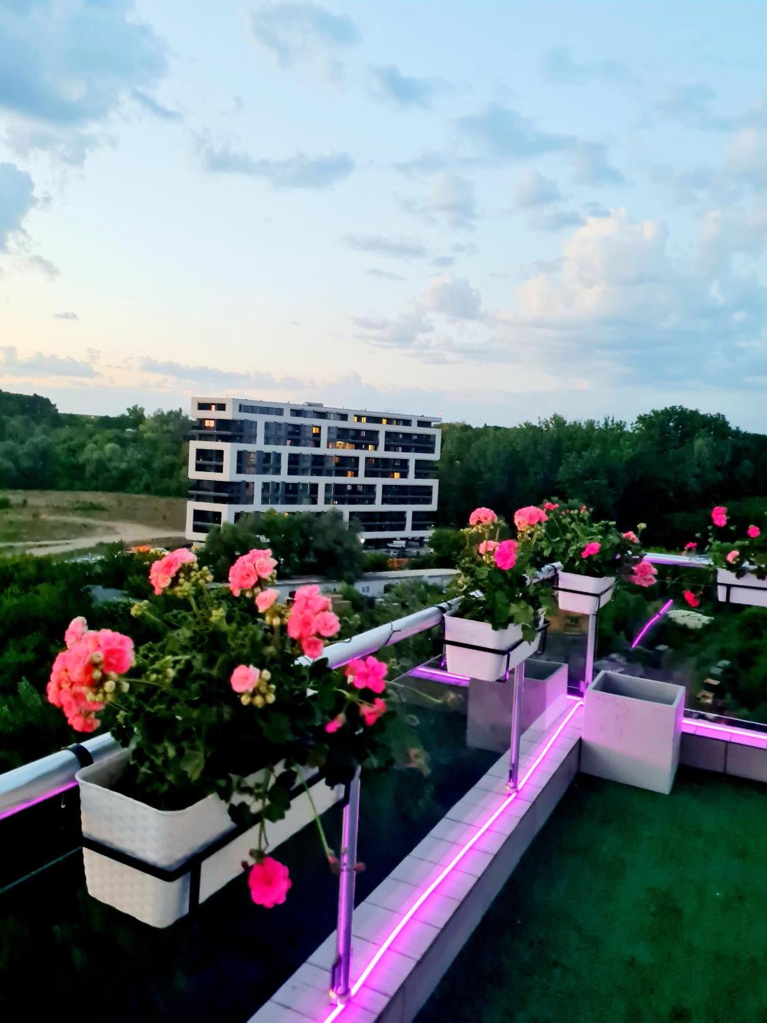 Апартаменти Penthouse View Aeroport Iasi 2 Екстер'єр фото