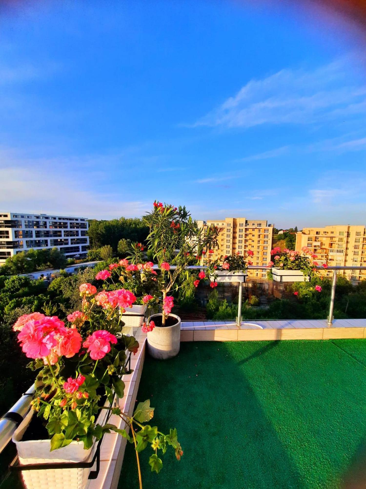 Апартаменти Penthouse View Aeroport Iasi 2 Екстер'єр фото
